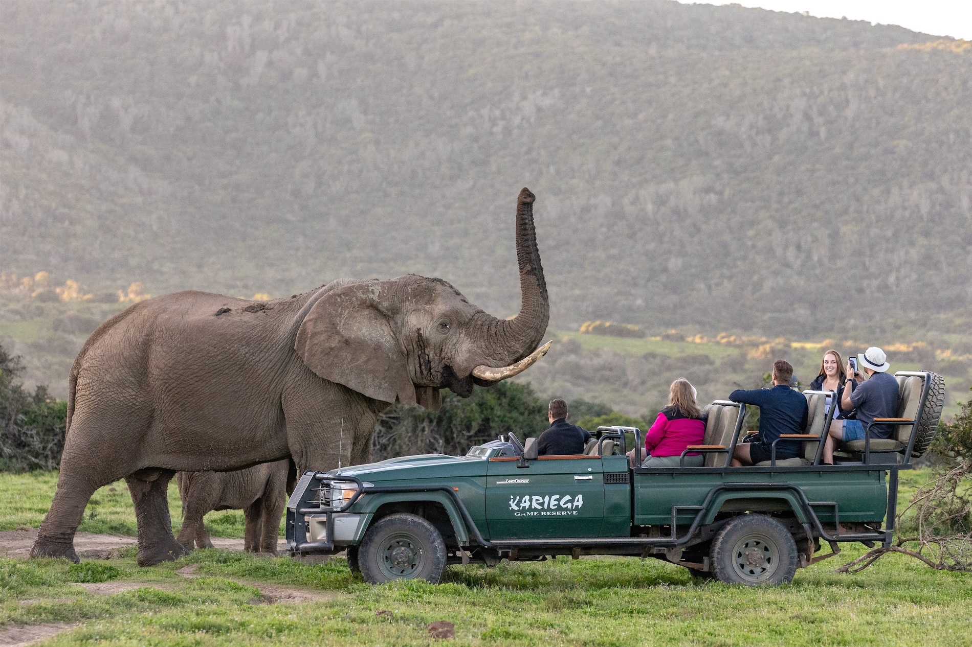 Kariega Safari Cruiser With Elephant